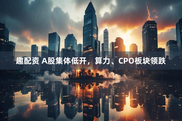 趣配资 A股集体低开，算力、CPO板块领跌